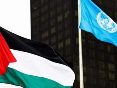 Γράφτηκε ιστορία: Η σημαία της Παλαιστίν...