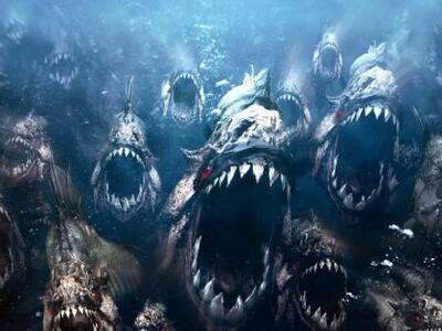 Σμήνος πιράνχας τραυμάτισε 60 λουόμενους