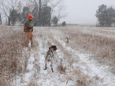 Οι φίλοι της φύσης ζητούν να σταματήσει ...