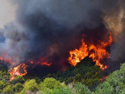 Ηλεία: Πυρκαγιά σε παραποτάμια έκταση το...