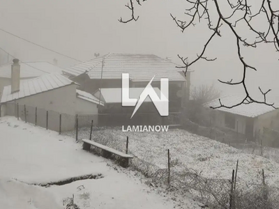 Φθιώτιδα / Φωτό lamianow.gr