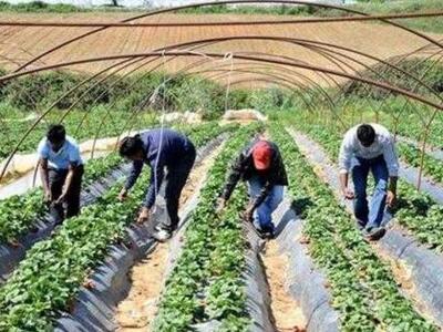 Δυτική Ελλάδα: Κάμπινγκ για τους εποχιακ...