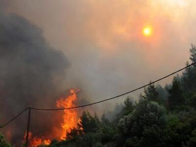 Πυρκαγιά σε δασική έκταση στην Λαμία