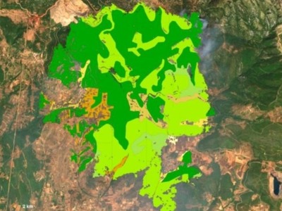 1.000 εκτάρια δάσους κάηκαν στην Εύβοια ...