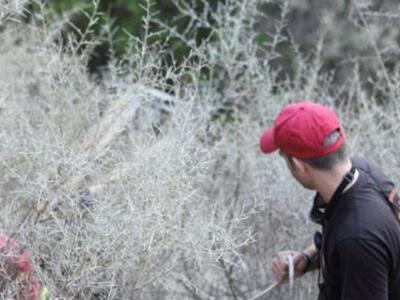 Ηλεία: Νεκρός 23χρονος Πακιστανός όμηρος...