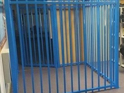 Αυστραλία: Έκλεισαν σε... κλουβί 10χρονο...