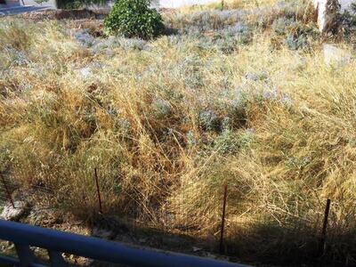 Πάτρα: Καθαρίστε το αγροτεμάχιό σας μέχρ...