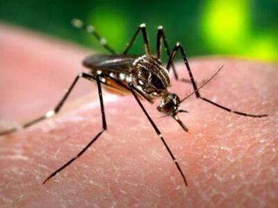 Πέντε περιστατικά ελονοσίας στην Νοτιοδυ...