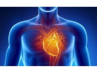 Πώς να μην ανέβει η χοληστερόλη τις γιορ...