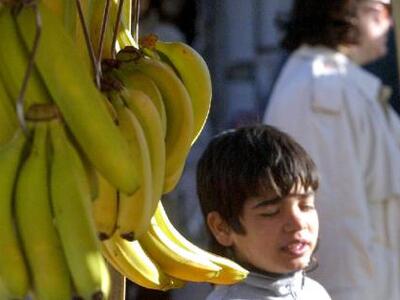Αποκωδικοποιήθηκε το DΝΑ της μπανάνας