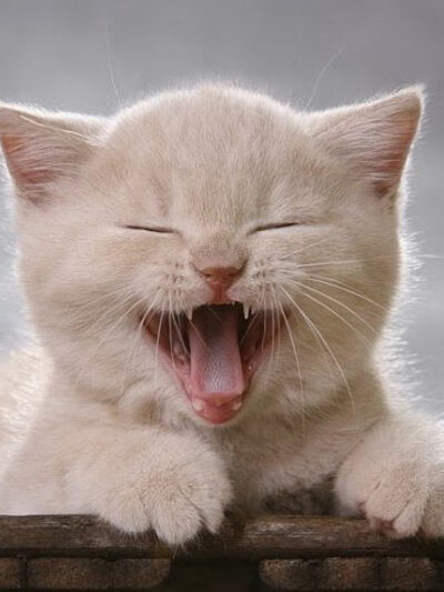 Έξυπνες απαντήσεις σε "χαζές" ερωτήσεις