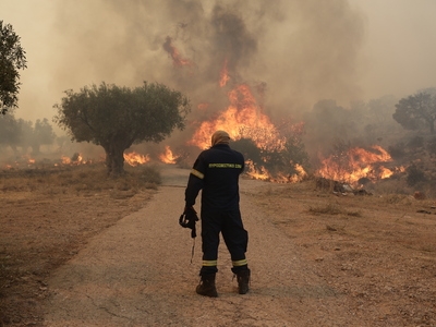ΣΥΡΙΖΑ για φωτιές: Κόλαφος τα στοιχεία γ...