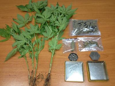 Αγρίνιο: Συνελήφθη νεαρός που καλλιεργούσε χασίς