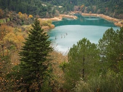 Τα αισθητικά δάση της Αχαϊας που προστατεύονται από το δίκτυο Natura