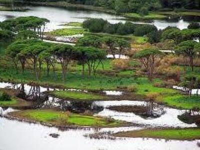 «Οικοτουρισμός και Προστατευόμενες Περιο...