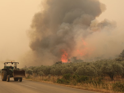 Φωτιά στον Έβρο: 15η μέρα μάχης με τις φλόγες