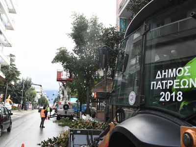 Πάτρα: Κλάδεψαν δέντρα στη Γούναρη και τ...