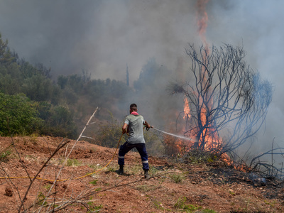 Ηλεία: Αναζωπύρωση στη Νεμούτα- Μάχη πυρ...