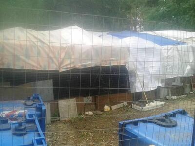 Πάτρα: Έκλεισαν τις γάτες σε μια αυτοσχέ...