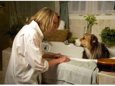 Η κομεντί «Ατίθαση συντροφιά» με την Ντα...