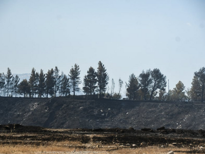 Αχαΐα: Επίσκεψη Ανδρουλάκη, την Πέμπτη, ...