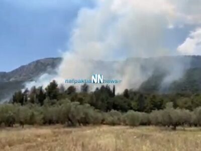 Δυτική Ελλάδα: Μεγάλη πυρκαγιά σε πευκόδ...
