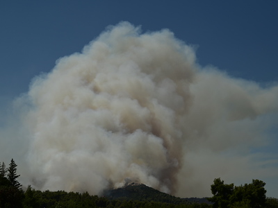 Φωτιά Αττική - Μαρουσάκης: Οι άνεμοι δυσ...