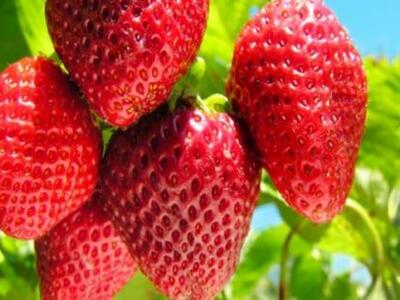 Οι λόγοι που πρέπει να τρώτε φράουλες !