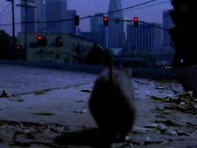 O λόγος που πρέπει να κλείνετε το καπάκι...