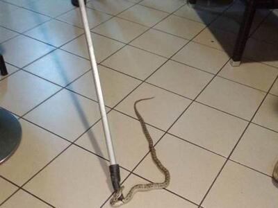 Ναύπακτος: Πήγαν για καφέ και έπεσαν πάν...