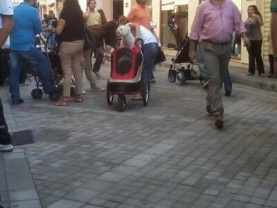 Πάτρα: Δεν θα πιστεύετε τι είχε μέσα στο...