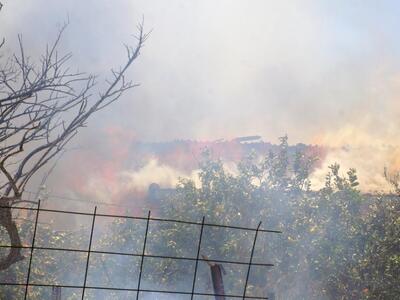 Ηλεία: Πυρκαγιά στην Φραγκαβίλα Αμαλιάδα...