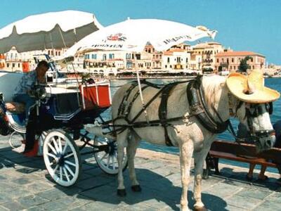 Βουτιά στο λιμάνι Χανίων για μια… άμαξα ...