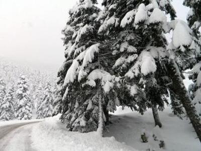 Καλάβρυτα: Η  μισή επαρχία "πνίγηκε...