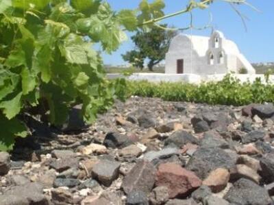 Η διορία για την υποβολή των δηλώσεων συ...