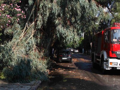 Κακοκαιρία- Δυτ. Ελλάδα: Πτώση δέντρου στου Λάππα