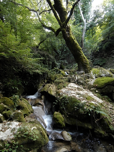 Αυξάνονται οι περιοχές της Ελλάδας με μο...