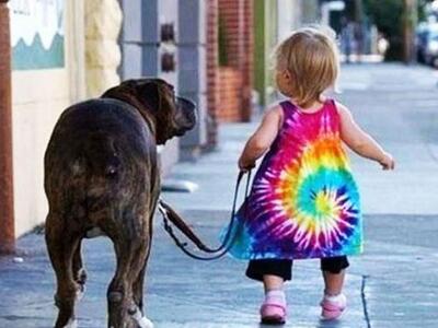 O σκύλος στο σπίτι μειώνει τον κίνδυνο ά...