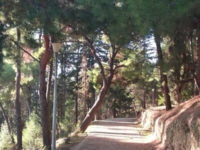 Πάτρα: Υψηλός κίνδυνος πυρκαγιάς τη Δευτ...