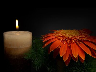 Το Αναρχικό κίνημα του Αγρινίου θρηνεί τ...