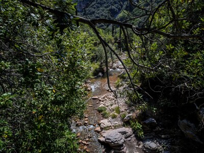 55χρονος εκπαιδευτικός ο νεκρός στη Φιγα...