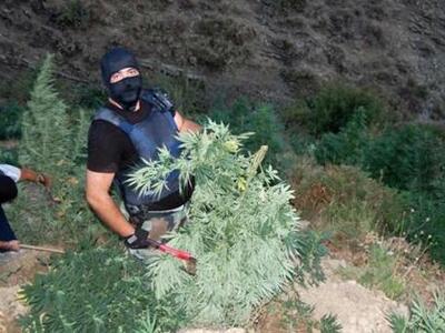 Αλβανία: Πήραν τα όπλα για να προστατεύσ...