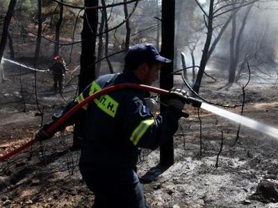ΤΩΡΑ! Πυρκαγιά στα Περιβόλια Φιγαλείας της Ηλείας