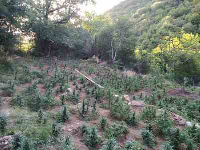 Δυτική Ελλάδα: Χειροπέδες σε αρχηγό ομάδ...