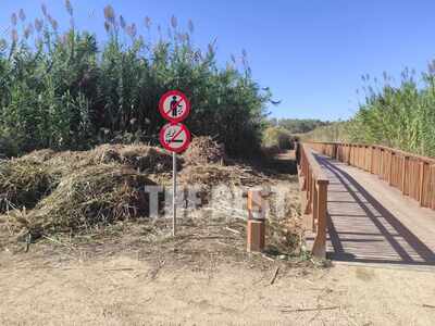 Πάτρα: Έκοψαν τα καλάμια και τα παράτησα...