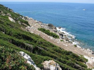 Μαζικά στη Ζάκυνθο οι κυνηγοί της Πελοπο...