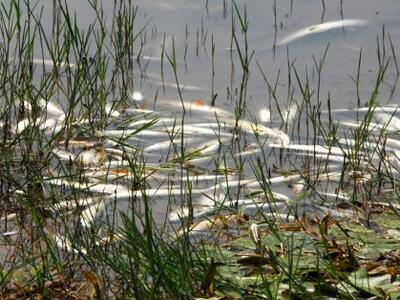 Πάτρα: Ημερίδα για θέματα εφαρμογής της ...