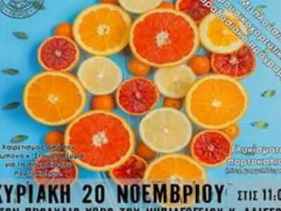 Αχαΐα: Στις 20 Νοέμβρη η 1η γιορτή πορτο...