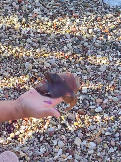 Φωτό: Θάνος Χριστακόπουλος