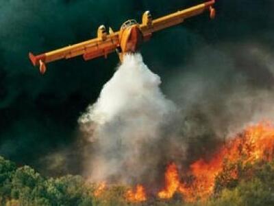 Πύρινα μέτωπα σε εξέλιξη σε Λιβαδειά και Ζάκυνθο